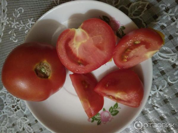 Плоды томата Катя