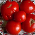 Зрелые томаты сорта Подснежник