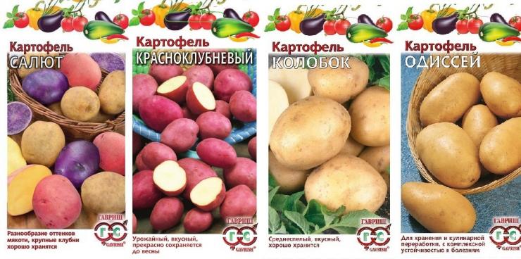 Примеры семян картофеля