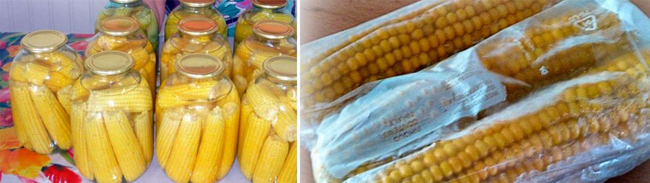 Хранение кукурузы