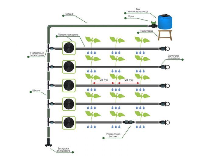 Купить Автоматический капельный полив AкваДуся Start на 50 растений | Официальный сайт производителя АкваДуся и Дуся Сан