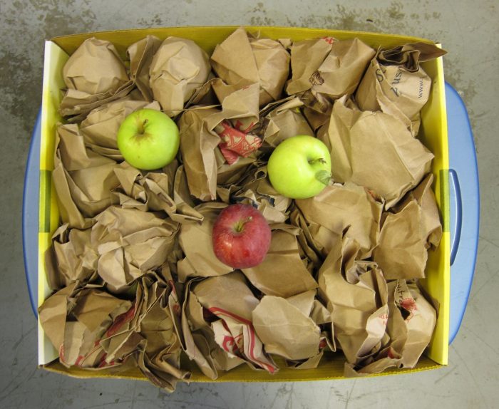 Способ хранения яблок
