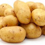 Kartofel Gala 1