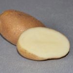 kartofel sorta udach 4