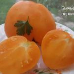 Персиковое сорта томата Бычье сердце