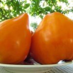 Оранжевые плоды