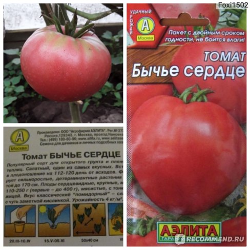 Семена сорта томата Бычье сердце