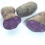 Фиолетовый картофель с фиолетовой мякотью
