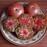 tomat Mikado chernyi 1
