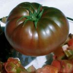 tomat Mikado chernyi 5