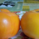 Плоды томата Микадо оранжевый