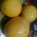 Маленькие плоды сорта Микадо желтый