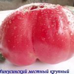 Крупный плод Минусинский
