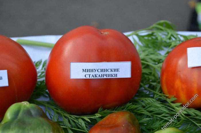 Минусинский томат