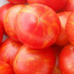 Красивые помидоры