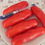 Удлиненные томаты сорта Казанова