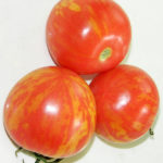 Полосатые помидоры Барао