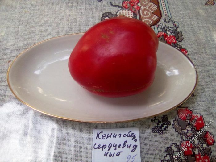 Сердцевидный томат сорта Кенигсберг