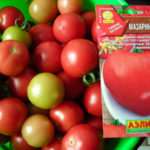 Мелкие помидоры от фирмы Аэлита