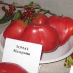Крупные томаты от Биотехники