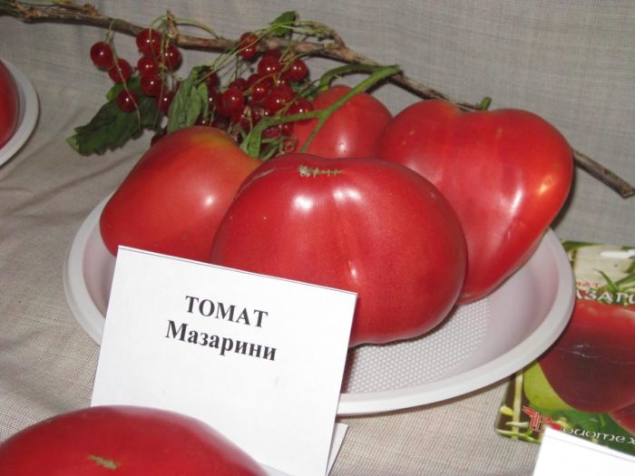 Крупные томаты от Биотехники