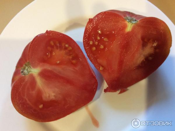 Сердцевидные плоды томата от Сибирского Сада