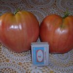 Большие помидоры Говяжье сердце