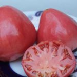 Сочные розовые помидоры