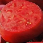 Разрезанный томат сорта Андреевский сюрприз