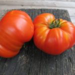 Плоды томата Каприкоза