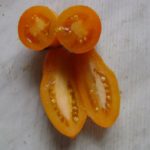 Сорт Мидас плод в разрезе
