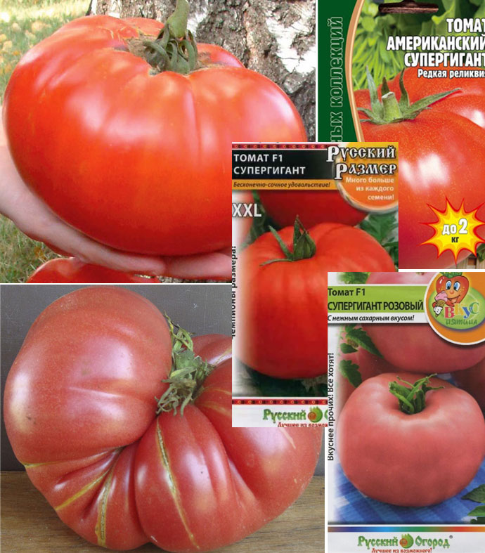 Сорта томата с названием Супергигант