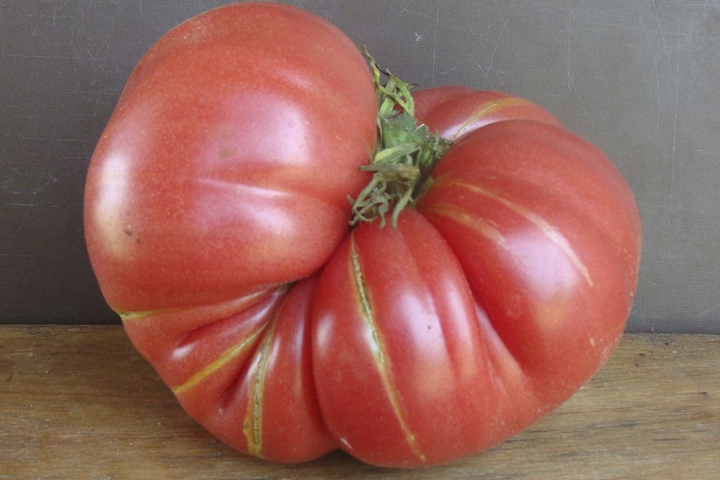 Большой томат