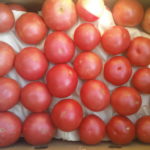 Волгоградские томаты розовые
